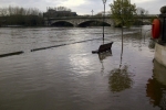 Staines Bridge