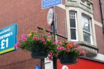 Staines hanging basket