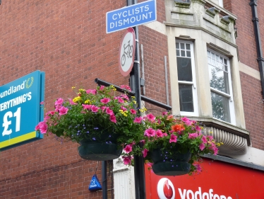 Staines hanging basket